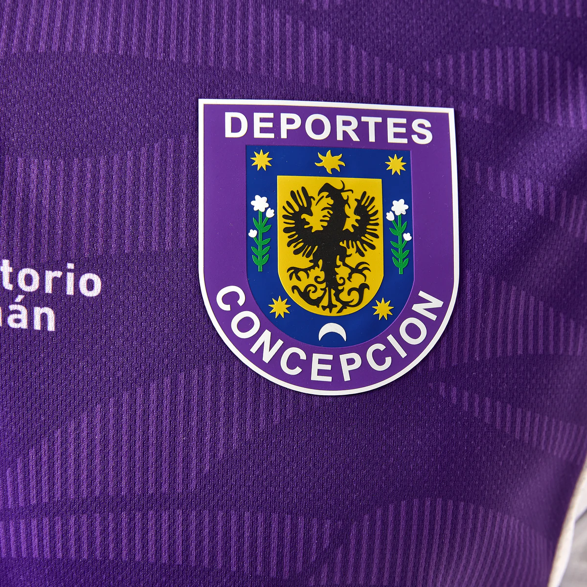 CAMISETA DEPORTES CONCEPCIÓN 1ª EQUIPACIÓN 25-26 MORADO - Image 3